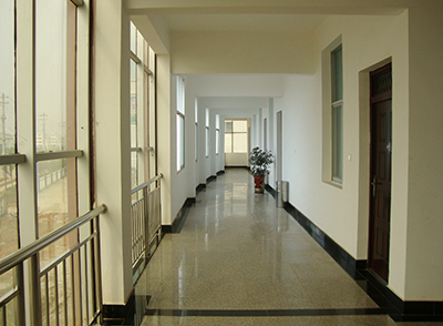 The corridor